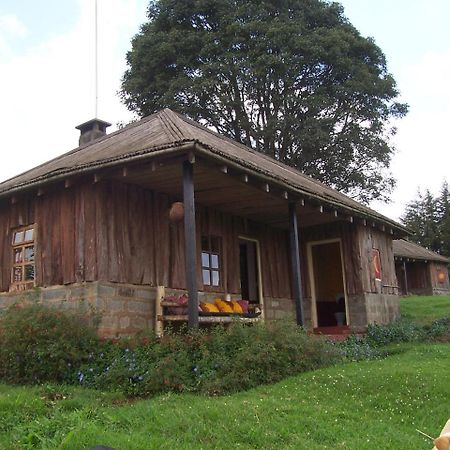 Castle Forest Lodge Mount Kenya National Park Εξωτερικό φωτογραφία