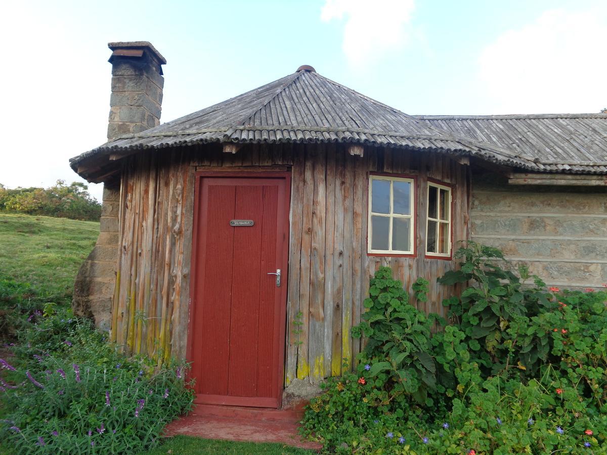 Castle Forest Lodge Mount Kenya National Park Εξωτερικό φωτογραφία