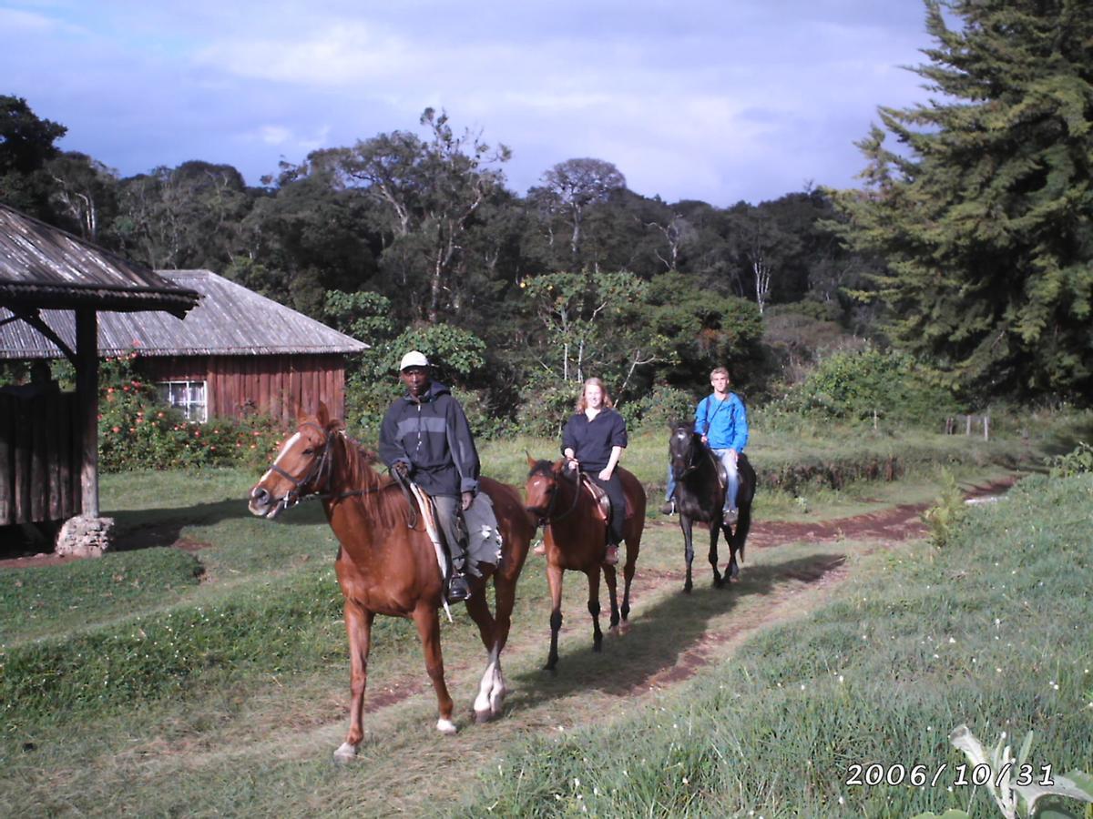 Castle Forest Lodge Mount Kenya National Park Εξωτερικό φωτογραφία