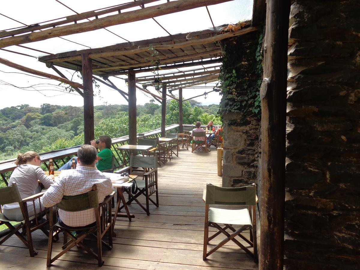 Castle Forest Lodge Mount Kenya National Park Εξωτερικό φωτογραφία