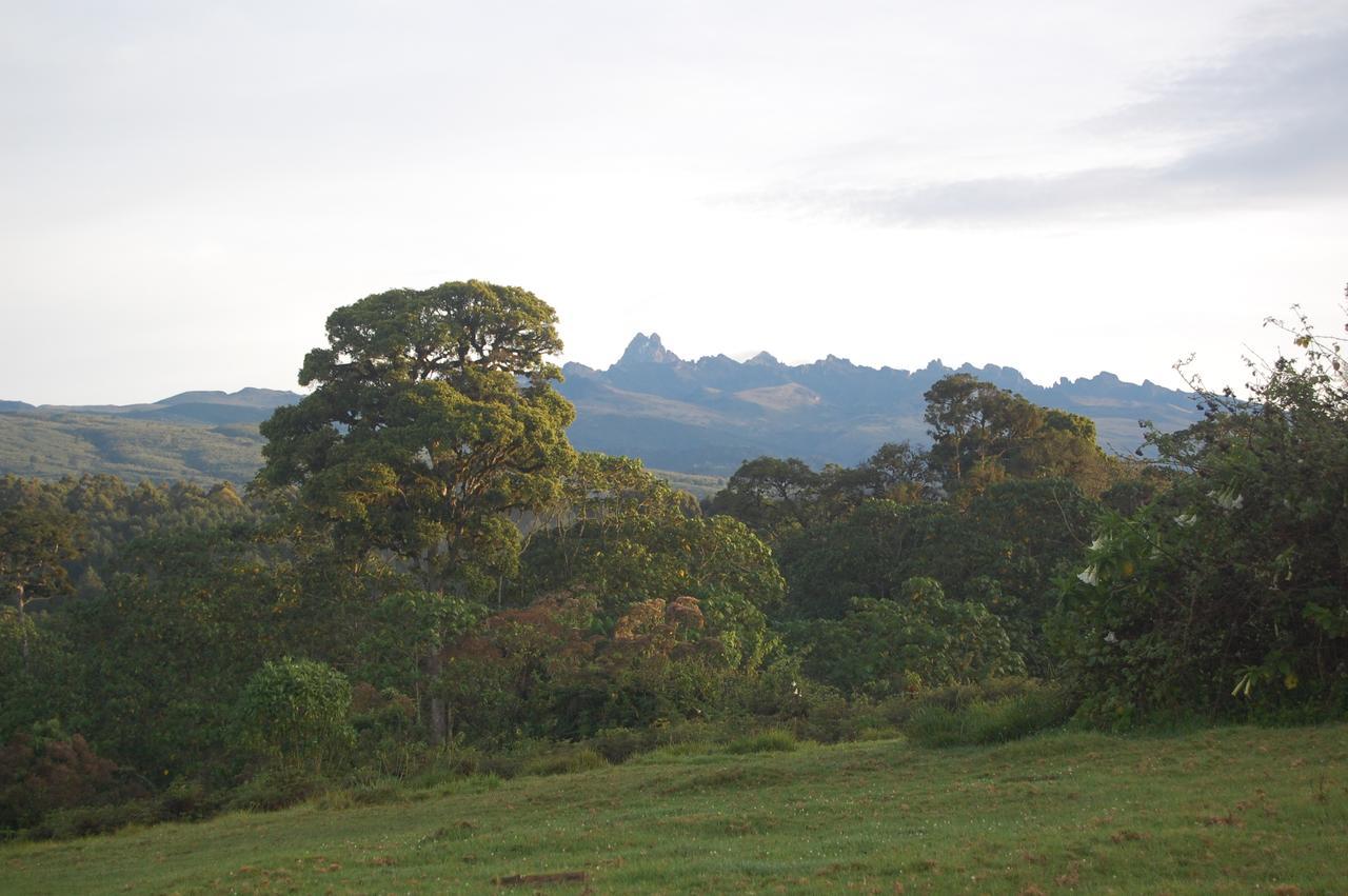 Castle Forest Lodge Mount Kenya National Park Εξωτερικό φωτογραφία