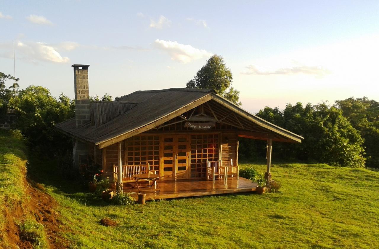 Castle Forest Lodge Mount Kenya National Park Εξωτερικό φωτογραφία